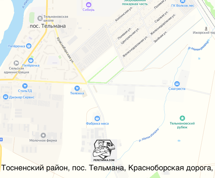 Описание изображения